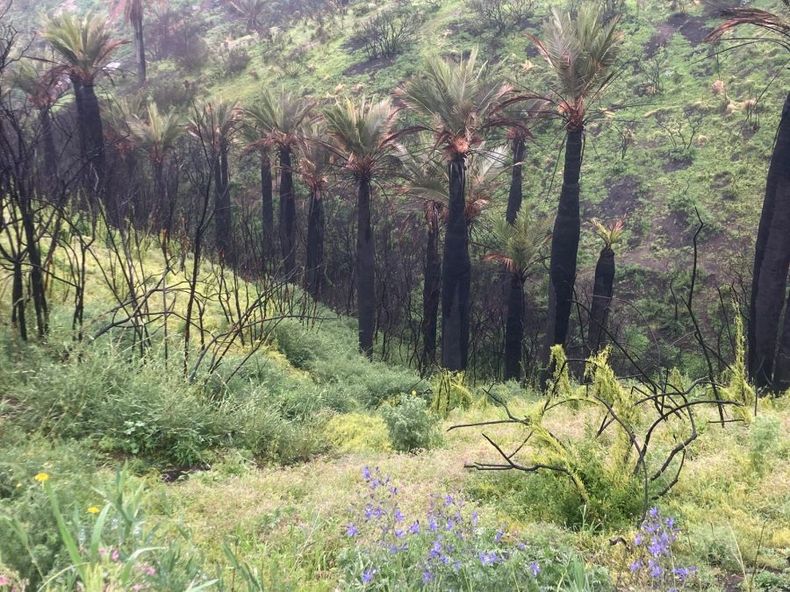 Parque natural kan kan e1697664997156.jpeg