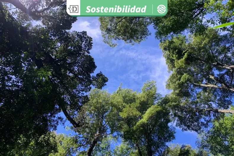 22505 diseno sin titulo 2025 09 12t121522.webp