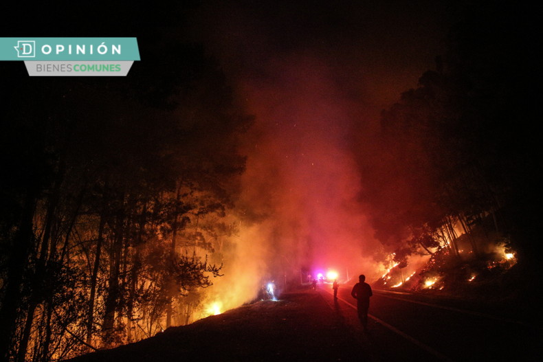 incendios crisis clima e1698599127327.png