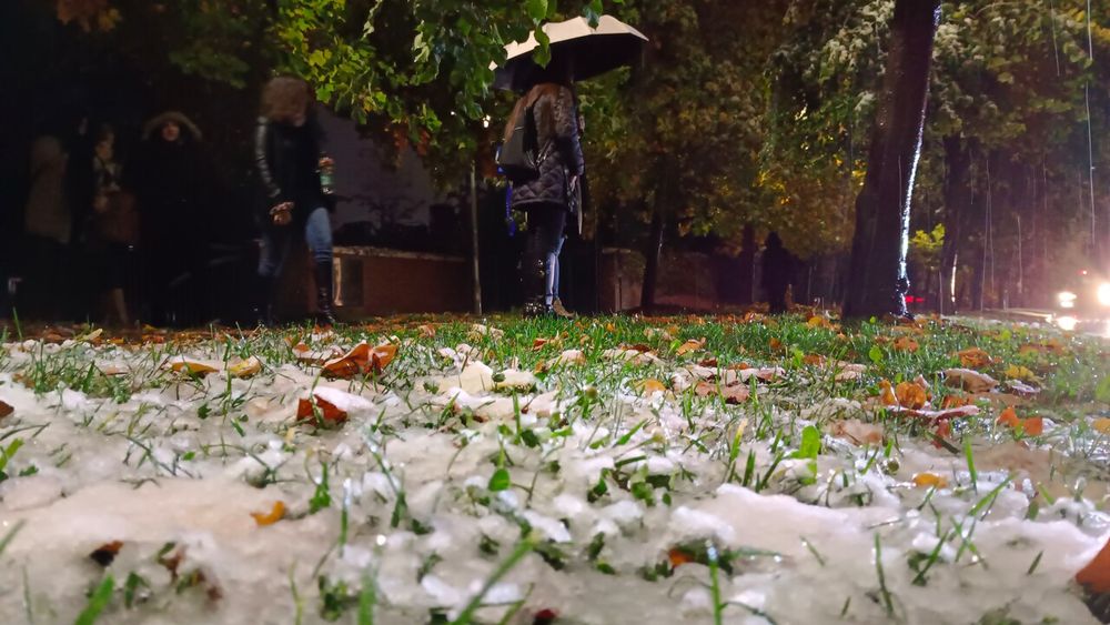 Balance del sistema frontal entre Coquimbo y Los Ríos: Cortes de caminos y aislados