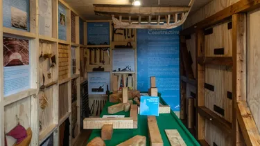 El Desconcierto | 20454 diseno sin titulo 24 1.webp