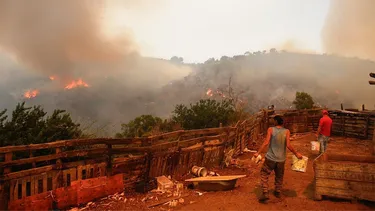 El Desconcierto | confirman que conaf fallo en alerta en megaincendio de vina del mar por  intermitencias criticas  en sus sistemas 2.webp