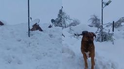 Hogares sepultados por la nieve en Tierra Amarilla.&nbsp;