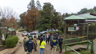 Fiscalía aclaró ataque a zoológico de Quilpué: Fallecieron 20 ciervos y 2 pavos reales