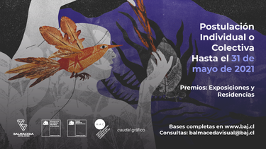 El Desconcierto | convocatoria BV feed.png