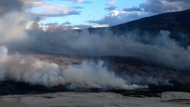 Incendio en Aysén supera récord de destrucción de los últimos 21 años: Ha arrasado con más de 15 mil hectáreas de bosque nativo