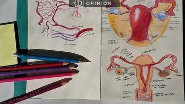 El Desconcierto | dibujo de carolina contreras.jpg