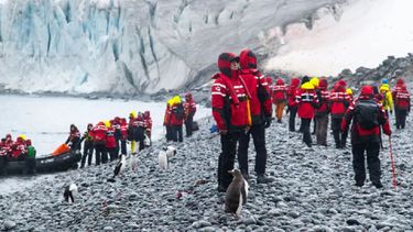 El turismo en la Antártica plantea una paradoja: conocer uno de los últimos territorios vírgenes del planeta, pero amenazar su fragilidad ecológica.