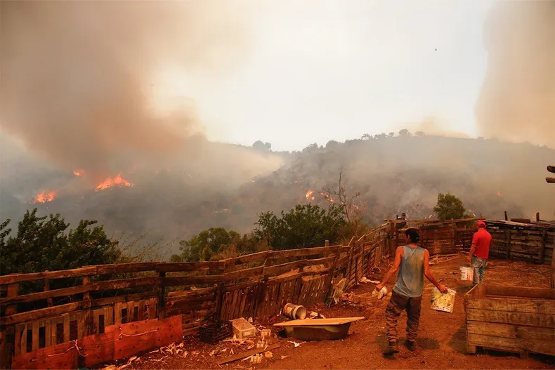 confirman que conaf fallo en alerta en megaincendio de vina del mar por  intermitencias criticas  en sus sistemas 2.webp