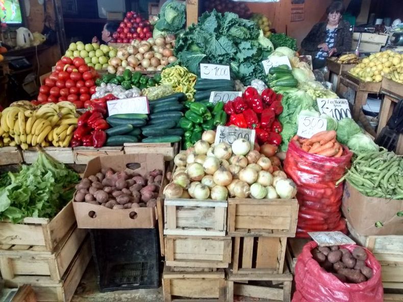 alimentos campo.jpg