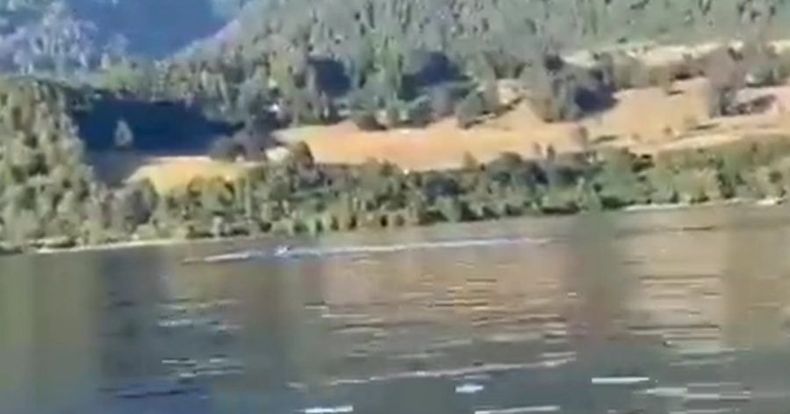 1674600444 monstruo del lago ranco e1674655390319.jpeg