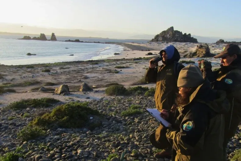 12008 guardaparques costa.webp