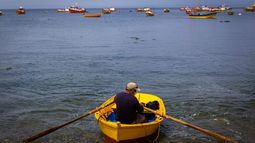 Mesa de Olores: La instancia que busca terminar con malos aromas de la pesca en el Biobio