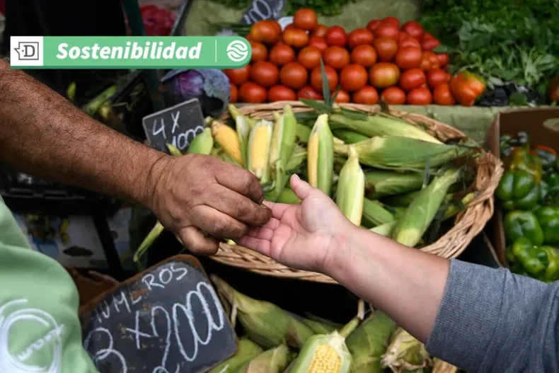 16705 diseno sin titulo 2025 06 02t134317.webp