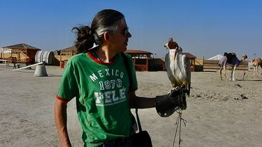 El Desconcierto | halcones qatar.jpg