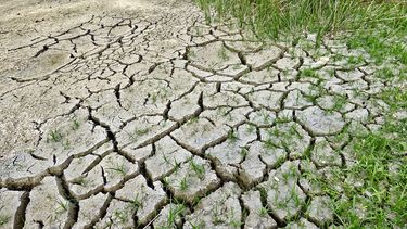 Cambio climático: Jeff Bezos dona US$100 millones para desarrollo de proteínas sostenibles