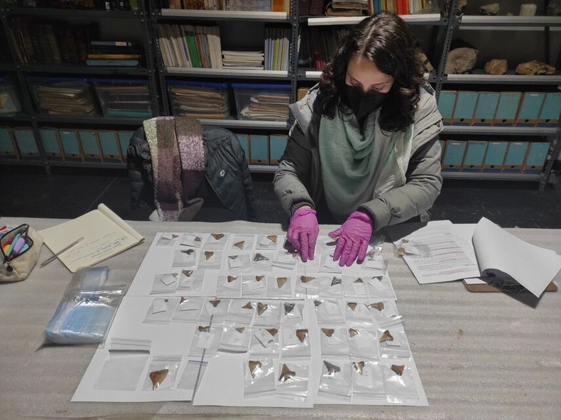 2478 cientificos.jpg