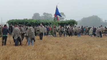 Comunidad mapuche se toma predio de agricultor que disparó a la bandera mapuche
