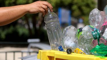 ¿Conoces el Plogging? La tendencia ecodeportiva gana terreno en Chile