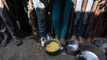 El difícil presente de la Franja de Gaza: Israel destruyó el 87% de los campos de cultivos de palestinos