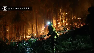 Incendios en el sur de Chile: empresas mineras y energéticas solicitaron concesiones exploratorias en zonas arrasadas por el fuego