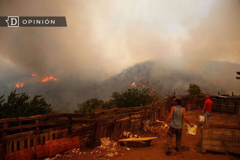 8574 imagen de incendio forestal en quilpue.jpg