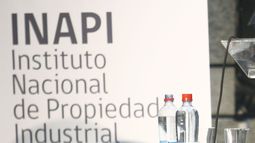 Empresa china reclama contra Inapi: Rechazaron inscripción de marca por ser “vulgar”