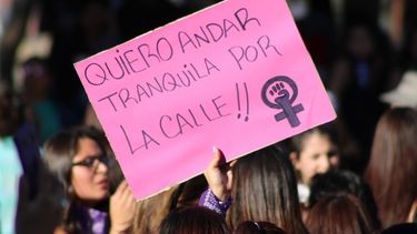 Sicóloga y dramática realidad chilena: El % de mujeres víctimas de un delito sexual es altísimo