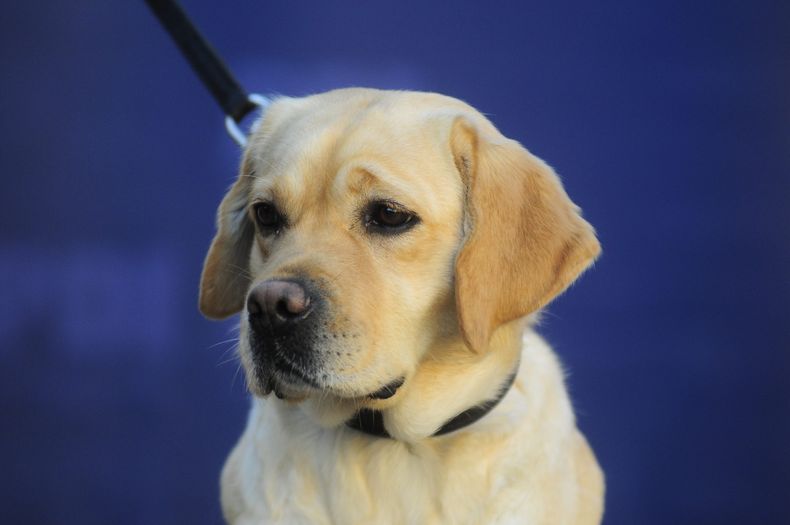 A_UNO_819532 scaled.jpg