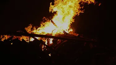 Empresa eléctrica de Tirúa indemnizará a dueño de cabaña incendiada por caída de un pino sobre su cableado