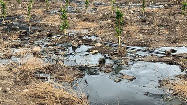 Minera del grupo Luksic sufre rotura de tubería: Se evalúa el impacto ambiental