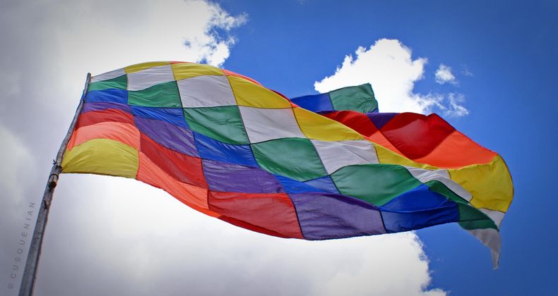 Bandera de Pueblos Originarios 2.jpg