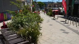 Núcleo nativo en Valdivia.&nbsp;