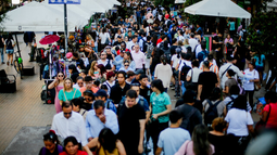 Compras masivas Compras masivas