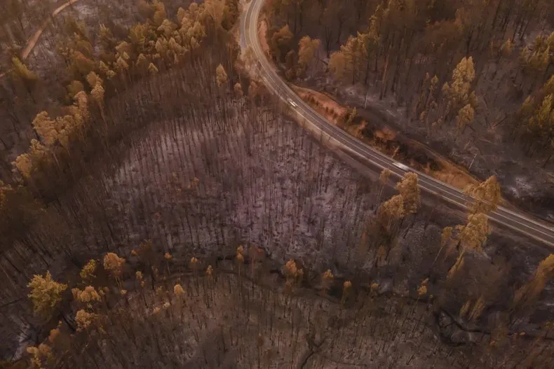 28998 ruta de la madera 1 1024x683.webp