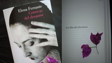 El Desconcierto | abandono.jpg