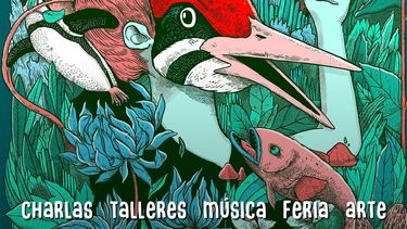 El Desconcierto | ladera sur 1.jpg