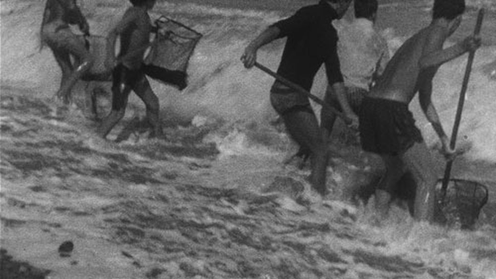 Convocan a encuentro sobre impacto del Golpe de Estado en el mundo cinematográfico