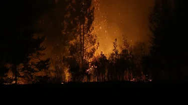Ley de incendios pasa a comisión mixta por discrepancia sobre indemnización por daño patrimonial a propietarios