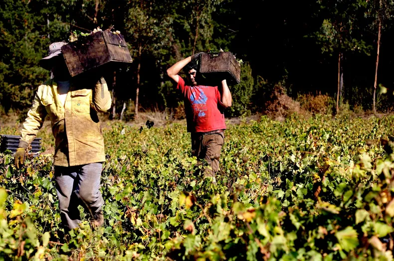 28449 a uno 635941.webp