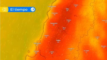 Hasta 40°C y viento: Suma preocupación en el Biobío por un complicado lunes meteorológico