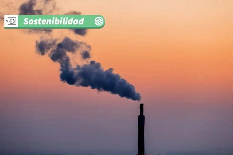 18317 diseno sin titulo 2025 06 30t112329.webp