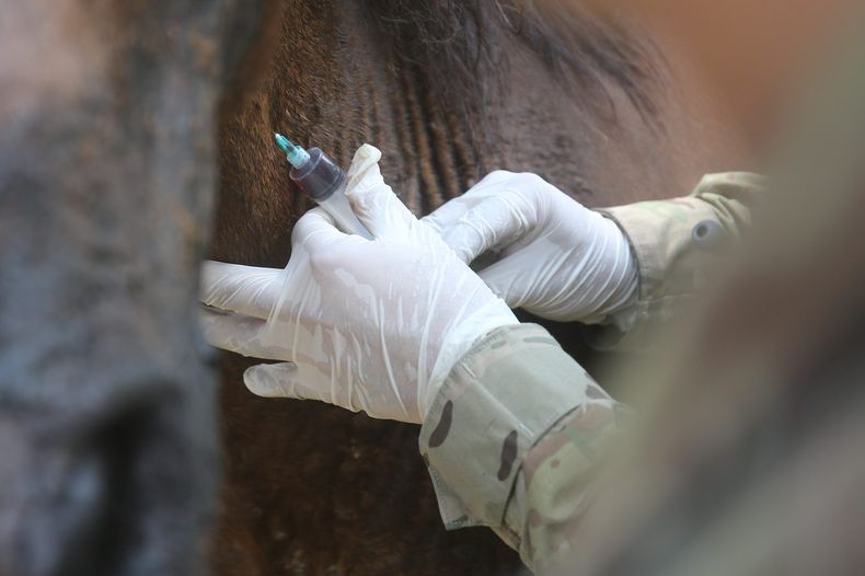 A_UNO_1433230 scaled.jpeg