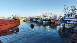 Chile reforzará liderazgo en la industria pesquera con aumento en 25% de cuota global de jurel