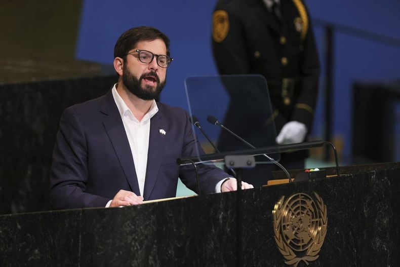 Boric ONU 1.jpg