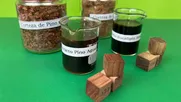 mayor durabilidad de la madera: investigadores desarrollan aditivo natural como alternativa ante productos quimicos nocivos