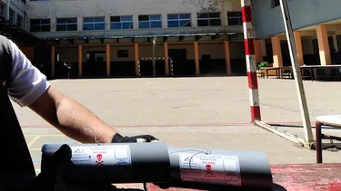 Por plaga de ratones suspenden las clases en el Liceo Tecnológico Alfredo Nazar Feres de Valparaíso: No es el único