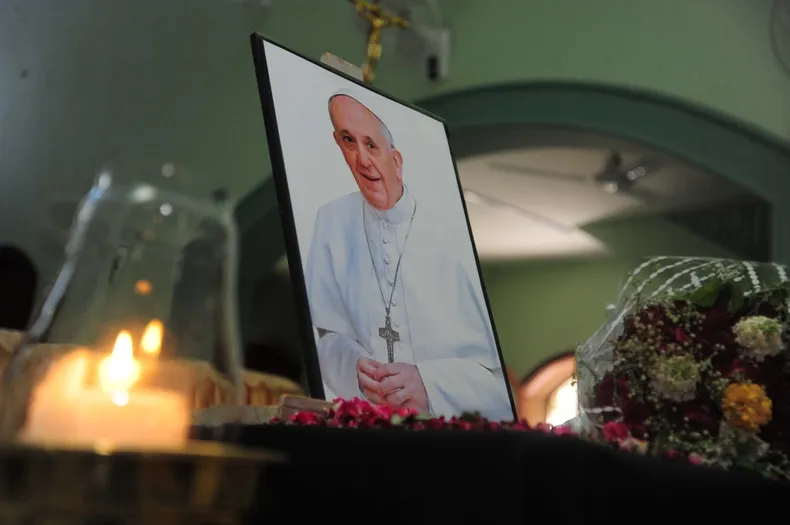 14651 papa vela.webp