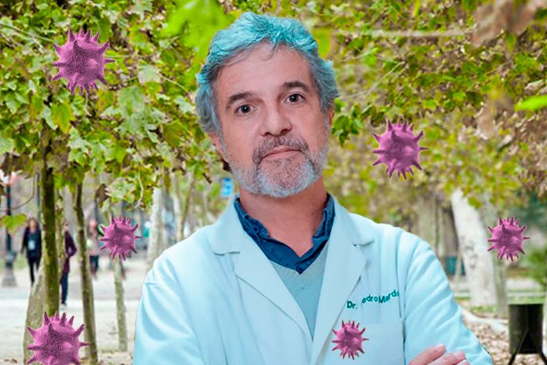 Alergia 900x600 1.jpg