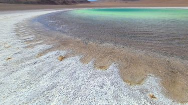 Laguna redonda, en la propuesta Reserva de Región Virgen Lagunas Las Parinas y Redonda.&nbsp;